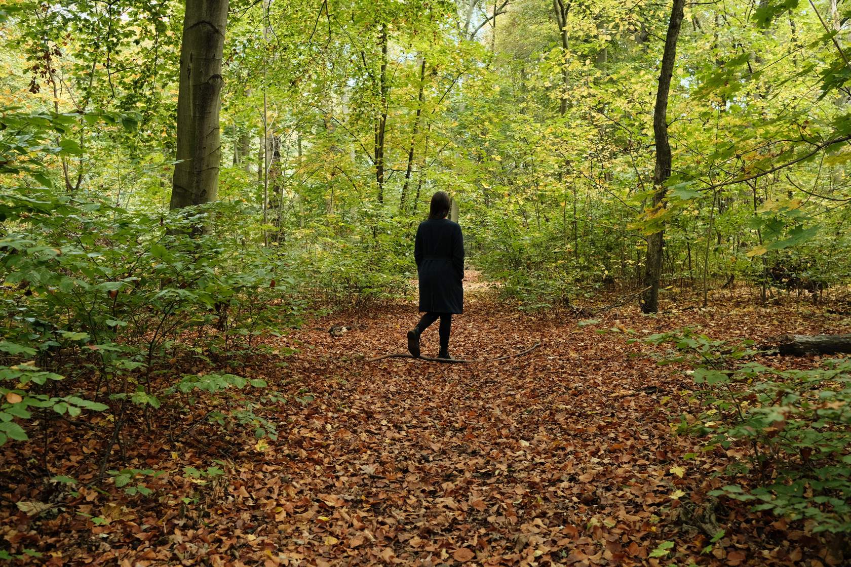 Se connecter à la nature pour améliorer sa santé